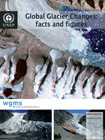 Global Glaciers Changes: facts and figures