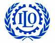 The International Labour Organization (ILO) 