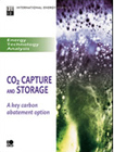 CO2 Capture and Storage
