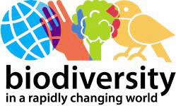 Biodiversity in a Rapidly Changing World