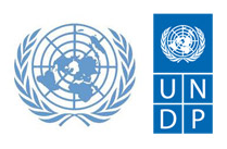 UNDESA and UNDP