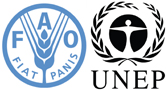 FAO UNEP