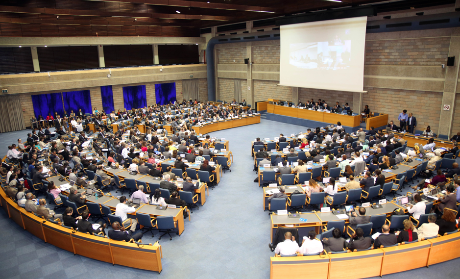 First UNEA Session