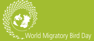 world-migratory-day