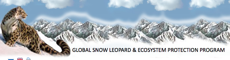 global-snow-leopard