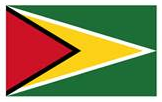 guyanese-flag