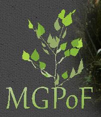 major_groups_partnership_on_forests