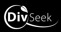 logo_div_seek