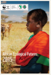 african_ecological_futures