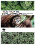 future_borean_orangutan
