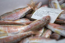 Red Mullet on display with the FAO Fishing Zone indicated on the label (photo courtesy of FAO)