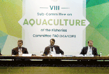 VIII Sub-Committee on Aquaculture of the Fisheries Committee FAO (SCA/COFI)