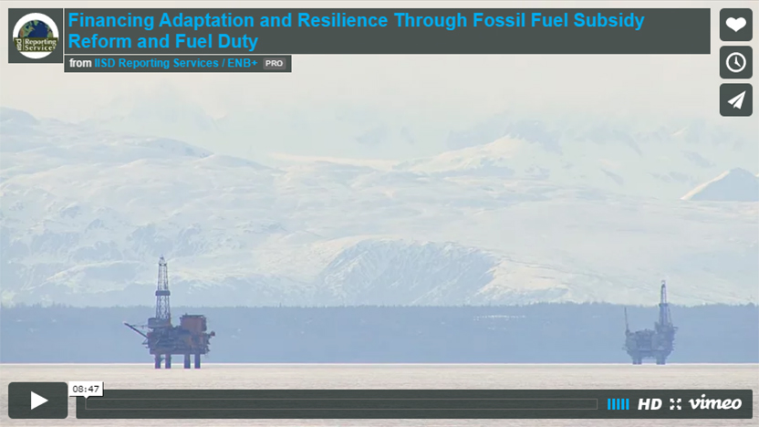 Financing Adaptation and Resilience Through Fossil Fuel Subsidy Reform and Fuel Duty