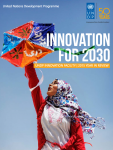 undp_innovation2030