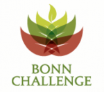 bonn_challange