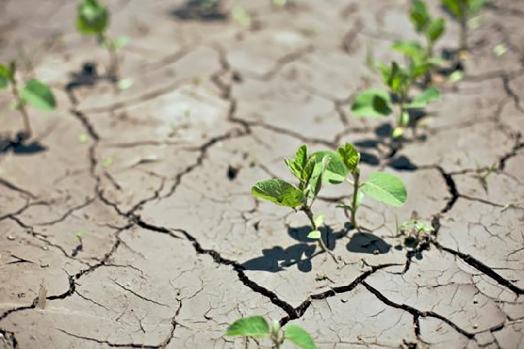guest-article-droughts-will-change-our-world-unless-we-act-now-sdg