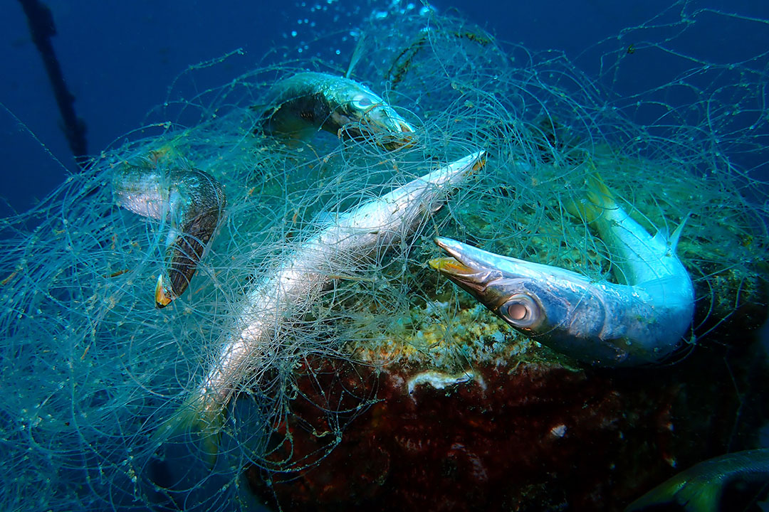 Talking Ocean Trash: Ghost Gear Keeps on Fishing