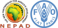 NEPAD-FAO