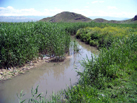Armenia Designates Marsh as Third Ramsar Site