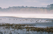 France Designates Two Ramsar Sites in the Aquitaine Region