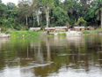 Site Ramsar Ntokou-Pikounda (photo courtesy of the Ramsar Secretariat)