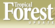 Climate changing for tropical forests