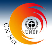 Making the climate neutral case during UNEP's Governing Council