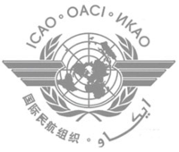 International Civil Aviation Organization (ICAO) 