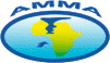 African Monsoon Multidisciplinary Analyses (AMMA)