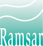 Ramsar STRP to Consider Climate Change and Wetlands